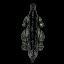 Load image into Gallery viewer, 9 1/2” Marusan Biogoji