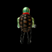 Load image into Gallery viewer, Tortoise Ninja by Kazu Akamatsu