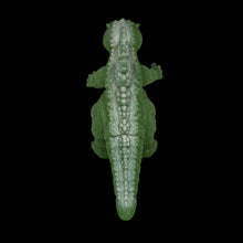 Load image into Gallery viewer, Baby Godzilla